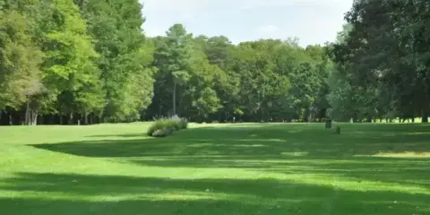 A wide, manicured green golf course fairway lined with tall trees under a bright sky.