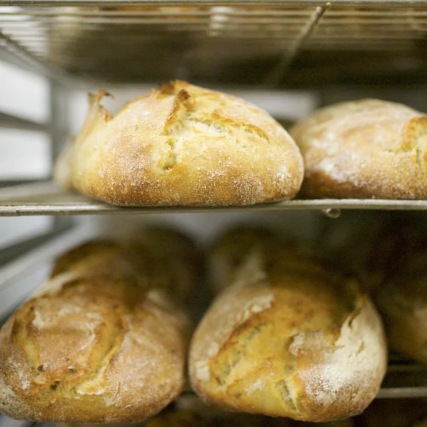 Close-up of several round, crusty artisan bread loaves resting on a metal wire rack.