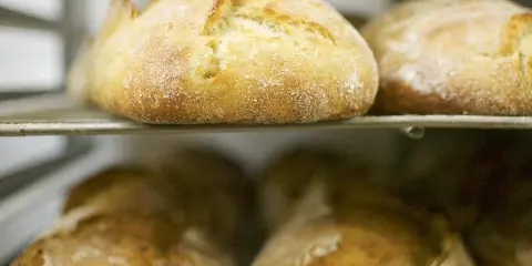 Close-up of several round, crusty artisan bread loaves resting on a metal wire rack.