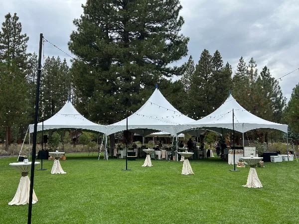 An outdoor event setup featuring three white peaked tents, string lights, and draped tables on a grassy lawn.