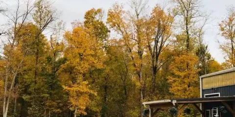 Outdoor view of The Wooded Garden venue featuring a stone wall, a building with a covered porch, and a backdrop of autumn trees.
