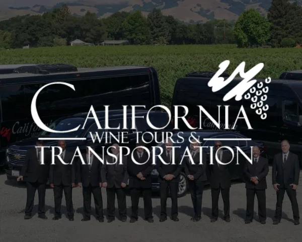A group of chauffeurs in suits standing in front of a fleet of black luxury limo buses and sedans in a vineyard setting.