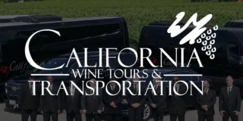 A group of chauffeurs in suits standing in front of a fleet of black luxury limo buses and sedans in a vineyard setting.