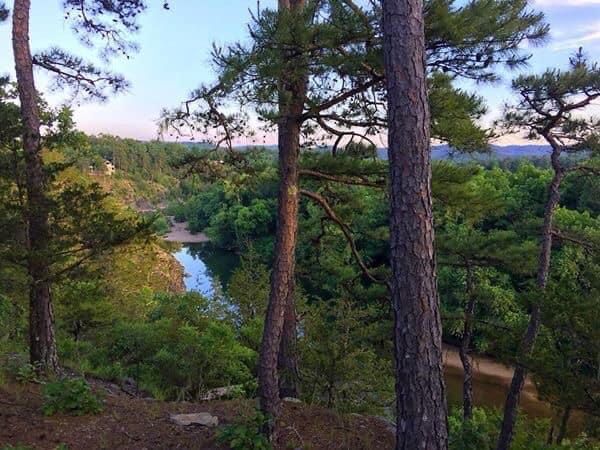 A view from a slate blufftop looking down through pine trees onto a winding river and forested valley.