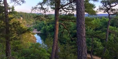 A view from a slate blufftop looking down through pine trees onto a winding river and forested valley.