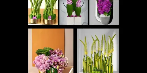 A collage of five different floral arrangements featuring orchids, roses, and greenery in various vases.