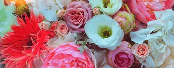 A close-up view of a colorful floral arrangement featuring pink roses, white ranunculus, and a red protea.