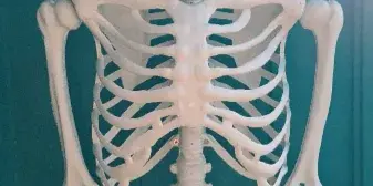 A decorative skeleton wearing heart-shaped sunglasses with wedding initials and a date, set against a teal background.