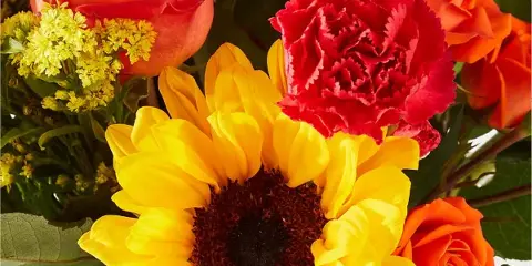A close-up of a colorful floral arrangement featuring a large yellow sunflower, orange roses, and red carnations.