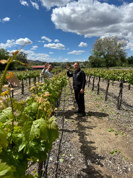 Two people standing among rows of grapevines in an estate vineyard under a blue sky with clouds.