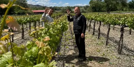 Two people standing among rows of grapevines in an estate vineyard under a blue sky with clouds.