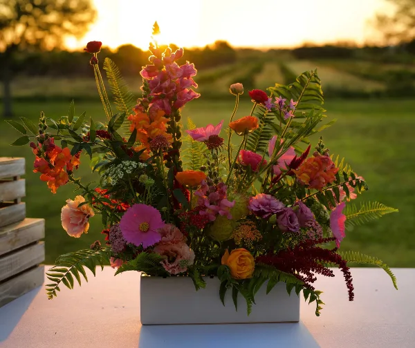 A vibrant floral arrangement with pink snapdragons, orange roses, and ferns in a white rectangular container, set against a blurred background of a green field at sunset.