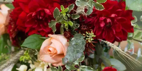 A close-up photograph of a lush floral arrangement featuring deep red dahlias, peach and red roses, and variegated greenery.