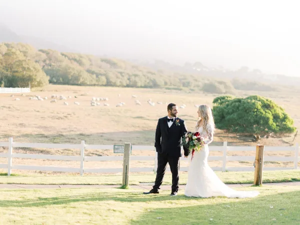 A bride and groom standing outdoors in a grassy field with a white fence and sheep in the background.