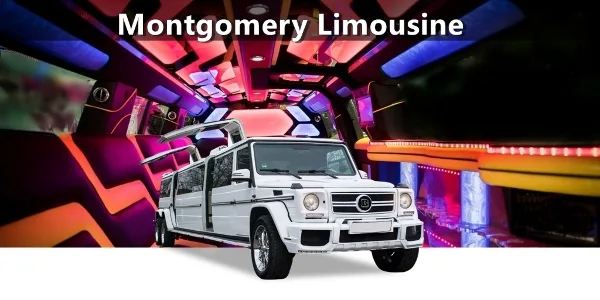 A white stretch limousine parked in front of a party bus interior featuring colorful LED lighting and plush seating.
