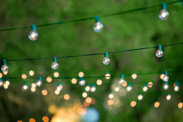 String lights hanging outdoors against a blurred green background.