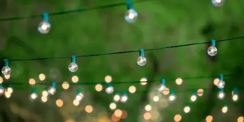 String lights hanging outdoors against a blurred green background.