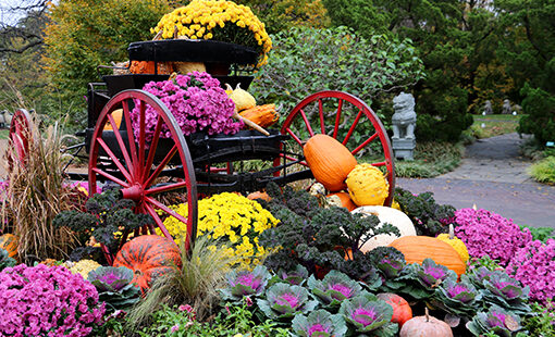 A garden center display featuring a red wagon filled with yellow and purple chrysanthemums, surrounded by pumpkins and ornamental kale.