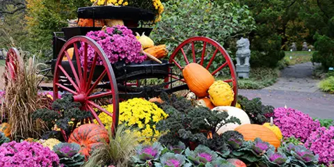 A garden center display featuring a red wagon filled with yellow and purple chrysanthemums, surrounded by pumpkins and ornamental kale.