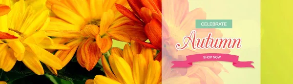 Close-up of yellow and orange daisies with a promotional banner reading 'Celebrate Autumn'.