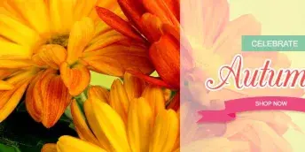Close-up of yellow and orange daisies with a promotional banner reading 'Celebrate Autumn'.