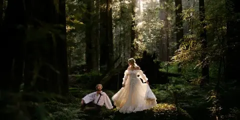 A bride in a white gown and a groom in a white shirt posing in a sunlit redwood forest.