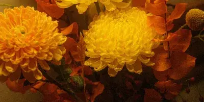 A close-up of a floral arrangement with yellow chrysanthemums and orange autumn leaves.