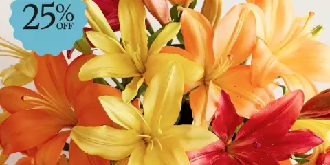 A close-up photograph of a colorful bouquet featuring yellow, orange, and red lilies.