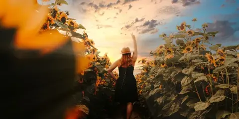 A woman in a black dress and hat standing in a sunflower field at sunset.