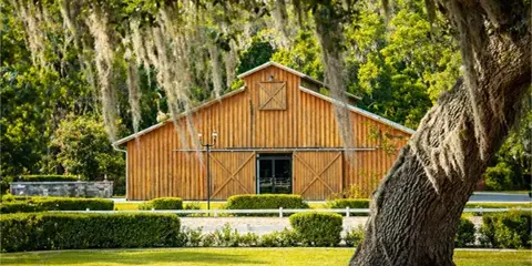 Exterior view of a wooden event barn at an estate, surrounded by manicured hedges and large live oak trees with Spanish moss.