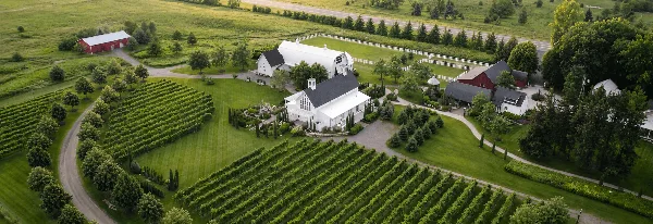 Aerial view of the Redeemed Farm wedding venue featuring a white chapel, white barn, and vineyard rows.