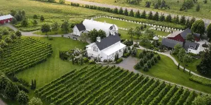 Aerial view of the Redeemed Farm wedding venue featuring a white chapel, white barn, and vineyard rows.