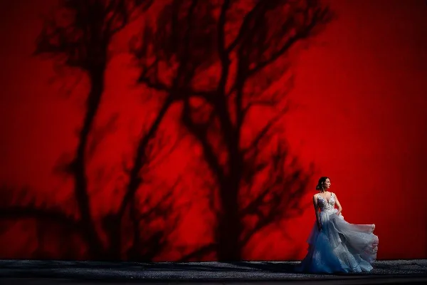 A bride in a white wedding dress stands in profile against a vibrant red wall with the shadow of a bare tree.
