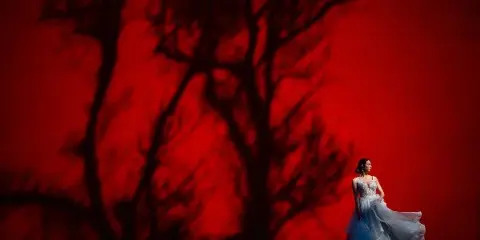 A bride in a white wedding dress stands in profile against a vibrant red wall with the shadow of a bare tree.