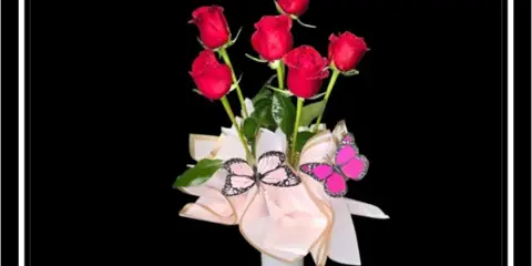 A bouquet of six red roses arranged in a white designer vase with decorative pink butterflies.