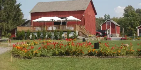 A red barn with a wooden deck and white event tents set in a rural field with flower beds.