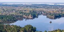 Aerial view of a lake surrounded by dense forest and parkland.