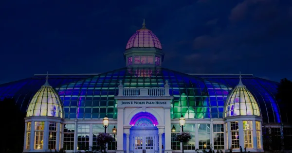 Nighttime exterior view of the John F. Wolfe Palm House at Franklin Park Conservatory, illuminated with colorful lights.