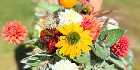 A person in a field holding a large bouquet of colorful seasonal flowers including daisies, dahlias, and sunflowers.