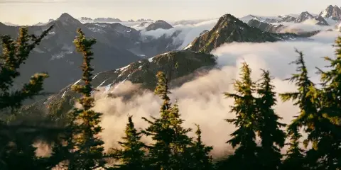 A scenic view of mountain peaks rising above a sea of clouds, framed by evergreen trees in the foreground.