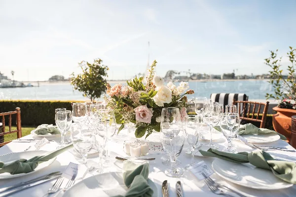Paper Birch Collective — wedding photography and videography portfolio