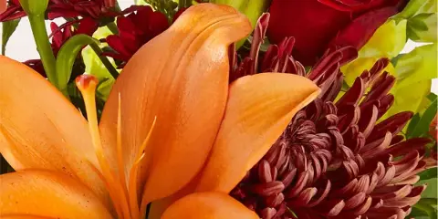 A close-up of a fresh flower arrangement featuring an orange lily, a red rose, and dark red chrysanthemums.