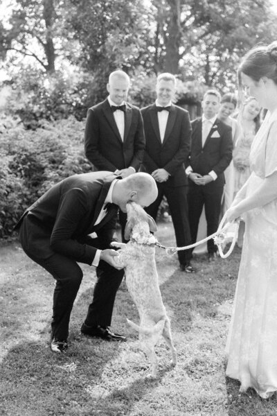 A black and white photograph of a groom kissing a dog during a wedding ceremony, with the bride and groomsmen looking on.