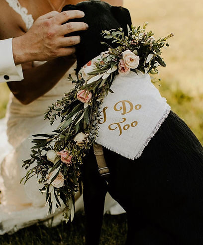 A black dog wearing a white bandana with 'I Do Too' text and a floral arrangement with pink roses and greenery.