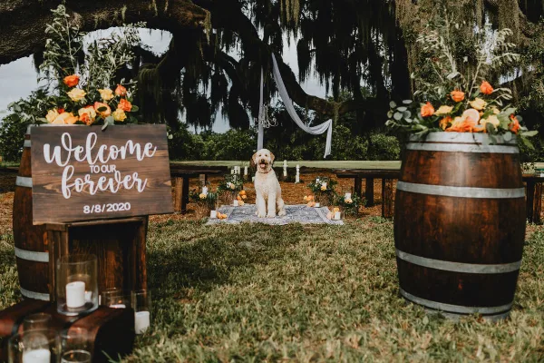 An outdoor wedding setup featuring rustic wooden farm tables, barrels, and a wooden sign reading 'Welcome to our forever'.