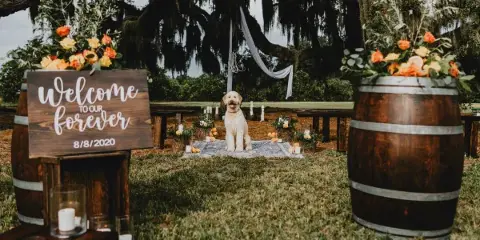 An outdoor wedding setup featuring rustic wooden farm tables, barrels, and a wooden sign reading 'Welcome to our forever'.