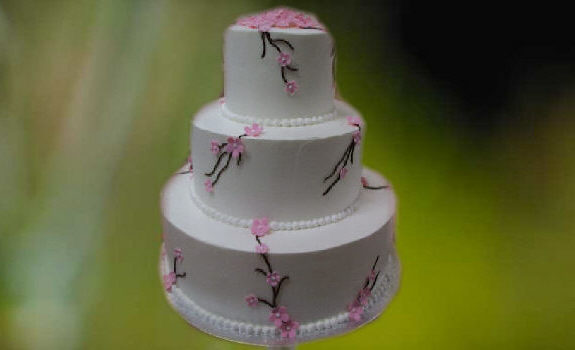 A three-tiered white wedding cake decorated with pink flowers and dark branches.