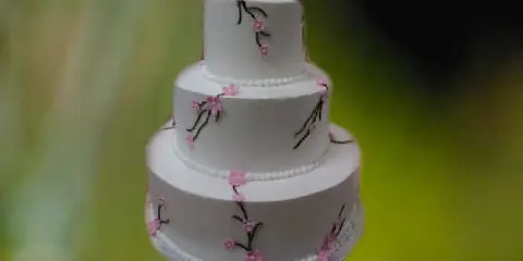 A three-tiered white wedding cake decorated with pink flowers and dark branches.