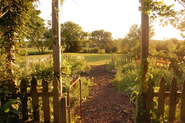 A sunlit garden path with wooden fencing and lush vegetation leading into a rural property.