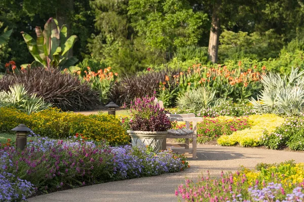 A paved garden path lined with vibrant purple, yellow, and orange flowers, featuring a wooden bench and a large potted plant in a botanical garden setting.